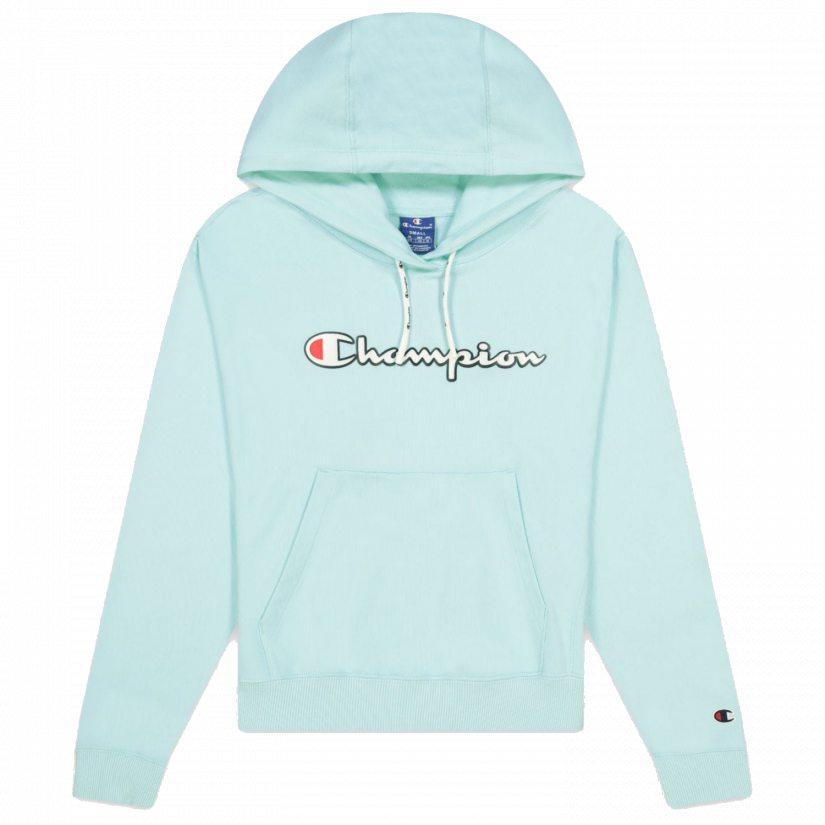 rochester 1919 champion hoodie