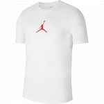 JUMPMAN DF SS CREW JUMPMAN DF SS CREW