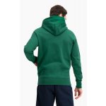 Rochester 1919 Hooded Sweatshirt Rochester 1919 Hooded Sweatshirt