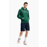 Rochester 1919 Hooded Sweatshirt Rochester 1919 Hooded Sweatshirt